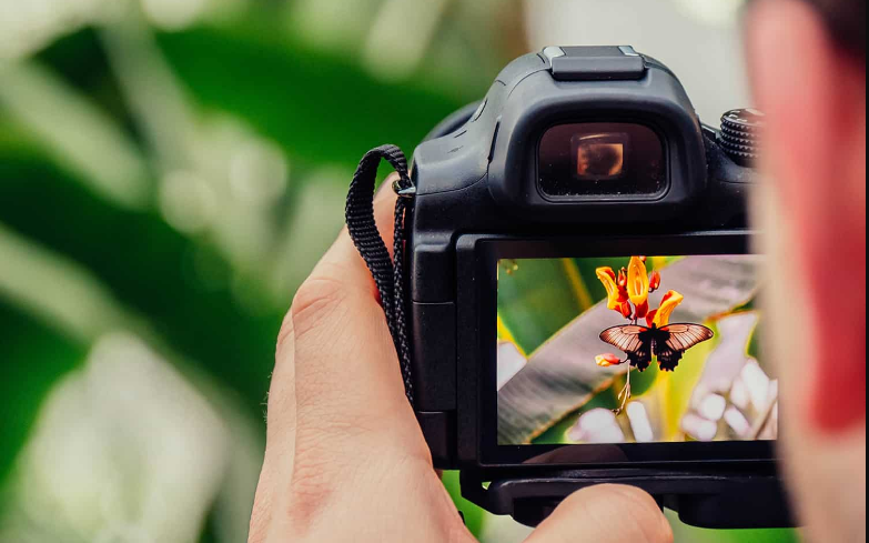 Adjust focus